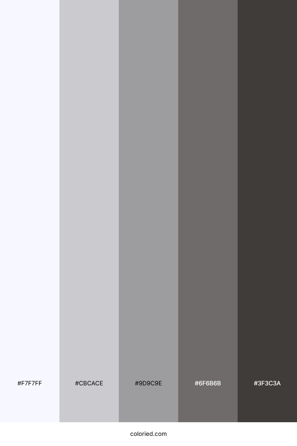 White And Charcoal Gray Color Palette