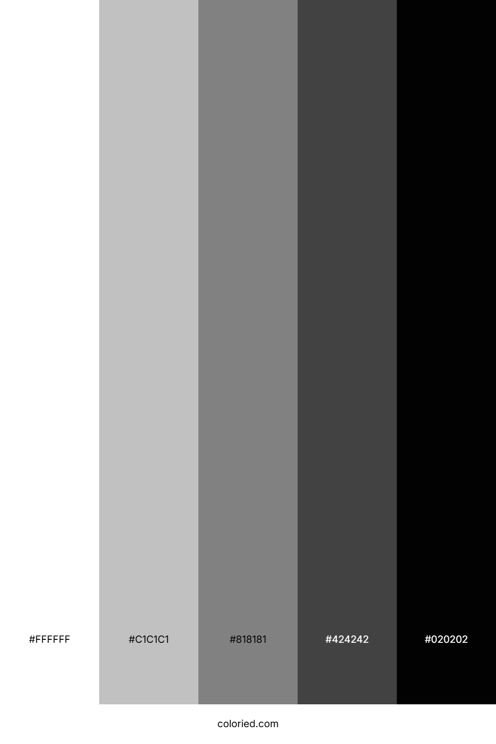 White and Dark Gray Color Palette
