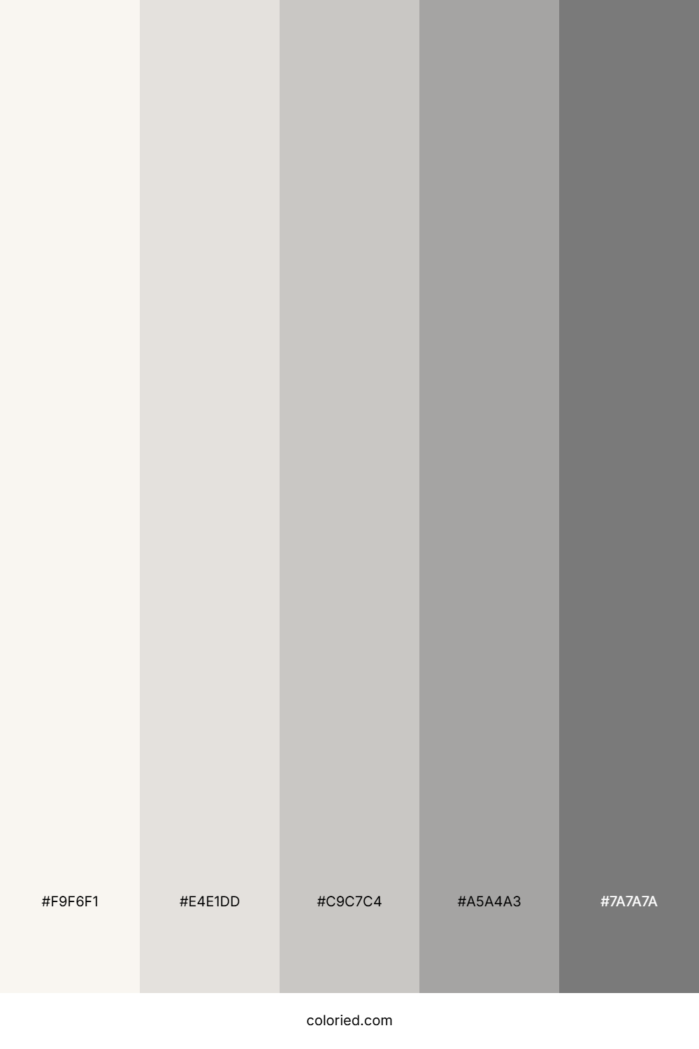 White and Silver Color Palette