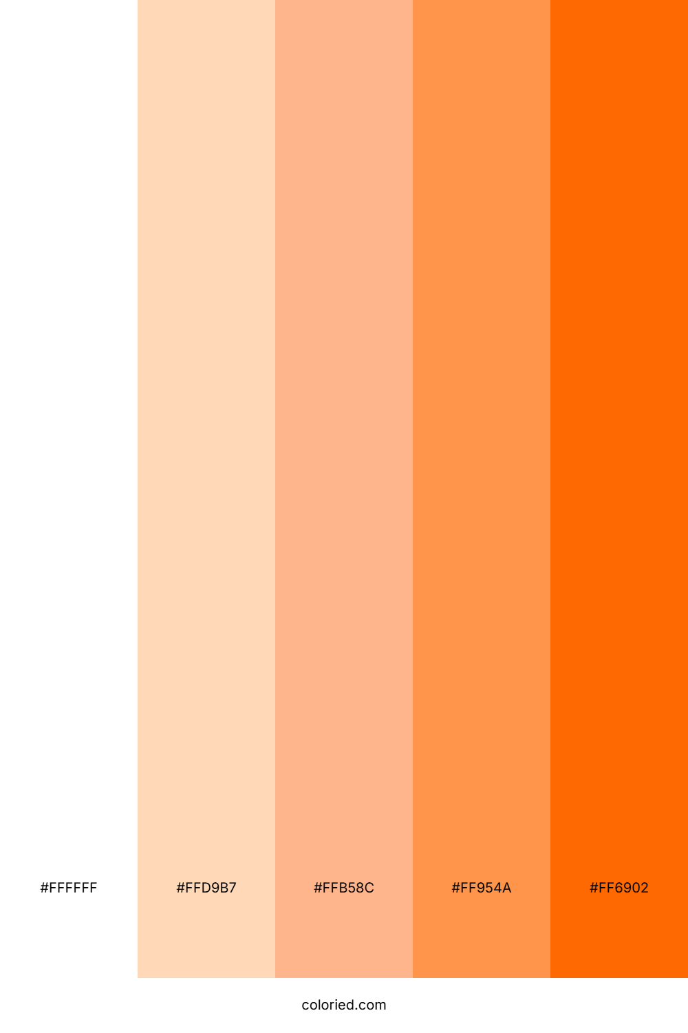 White and Soft Orange Color Palette