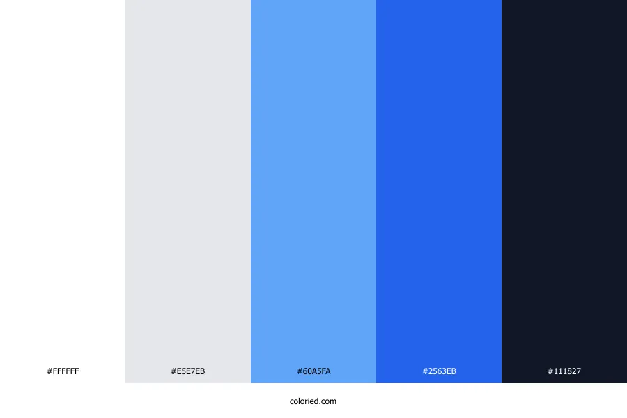 White Blue Black Color Palette