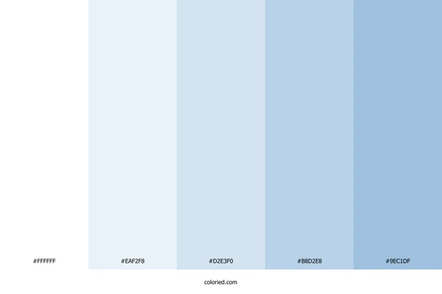 White Blue Color Palette
