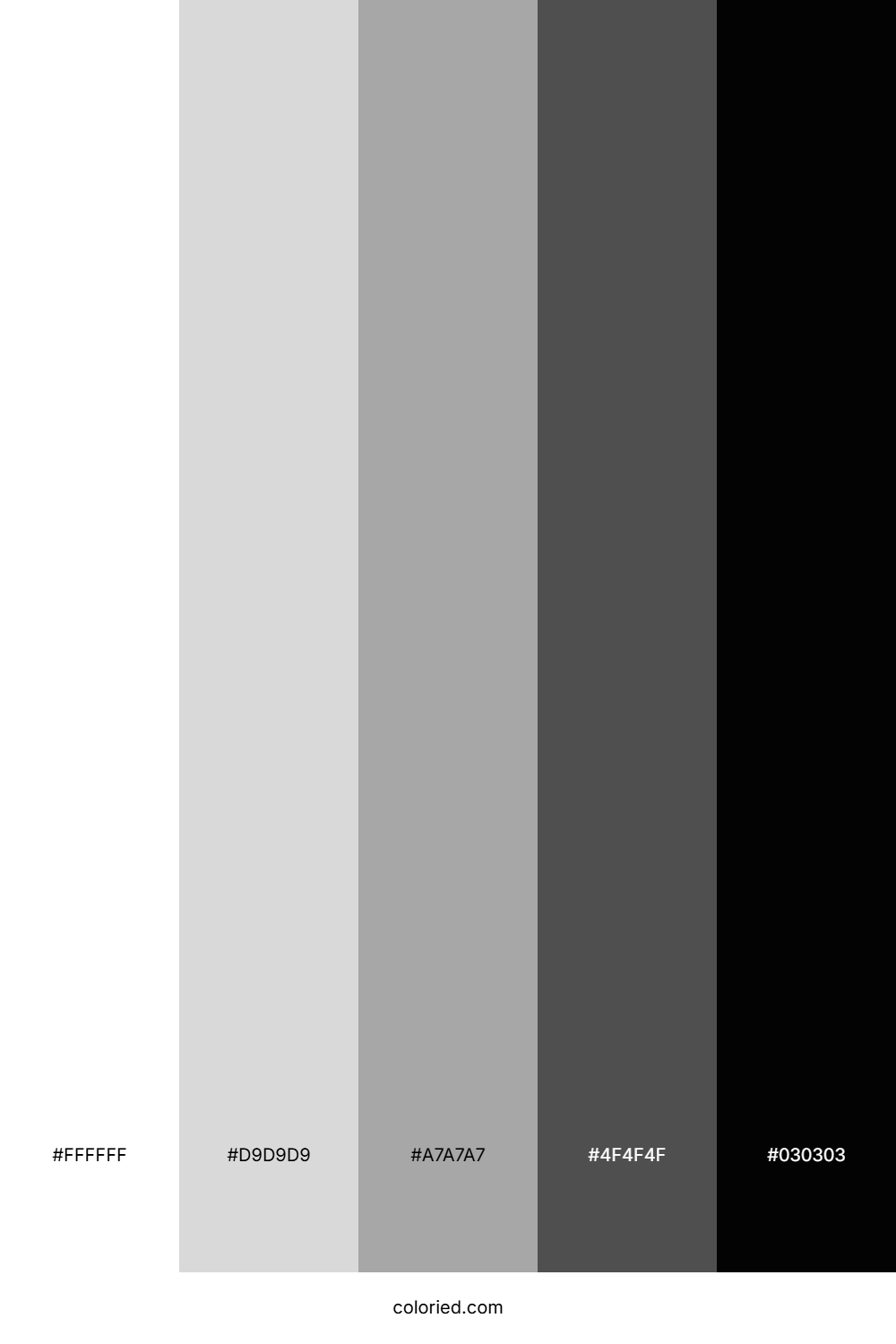 White to Black Color Palette