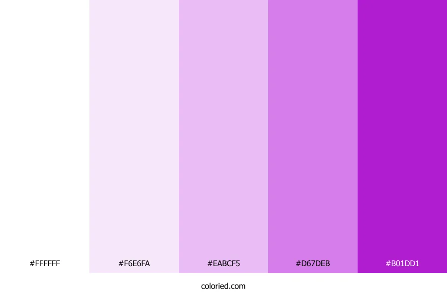White to Magenta Gradient Color Palette