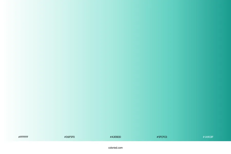 White to Teal Gradient
