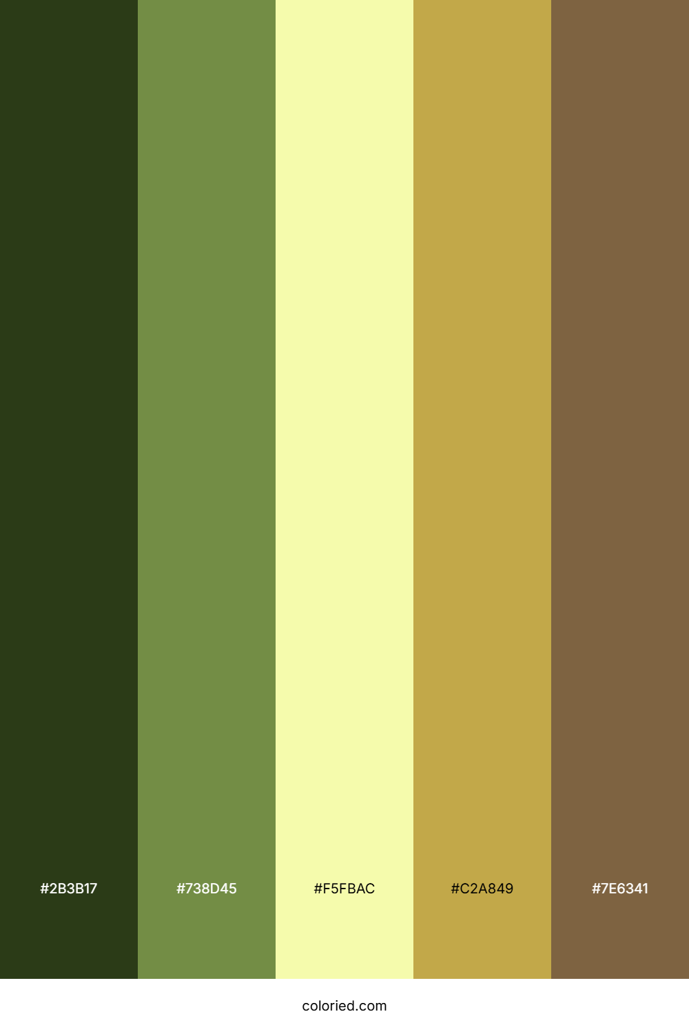 Wild Fern Glade Color Palette