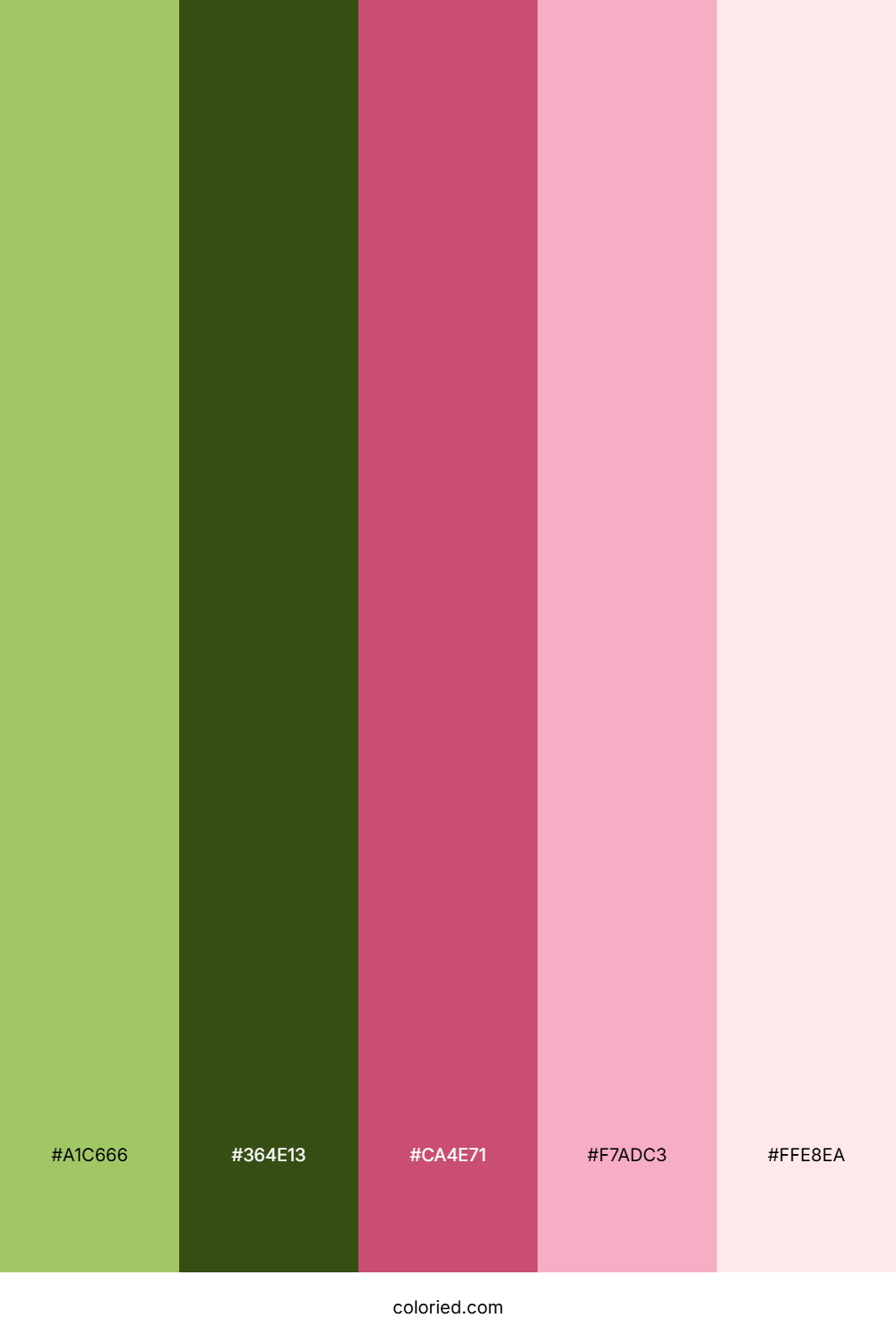Wildflower Pink Meadow Color Palette