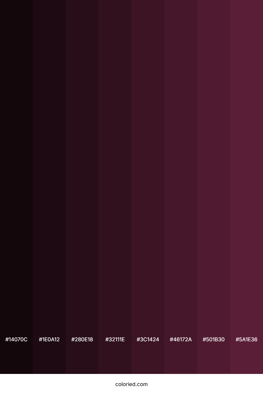 Wine Berry Color Shades