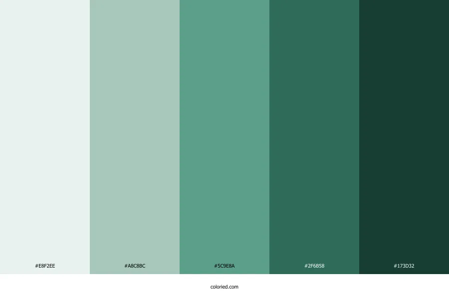 Winter Green Color Palette