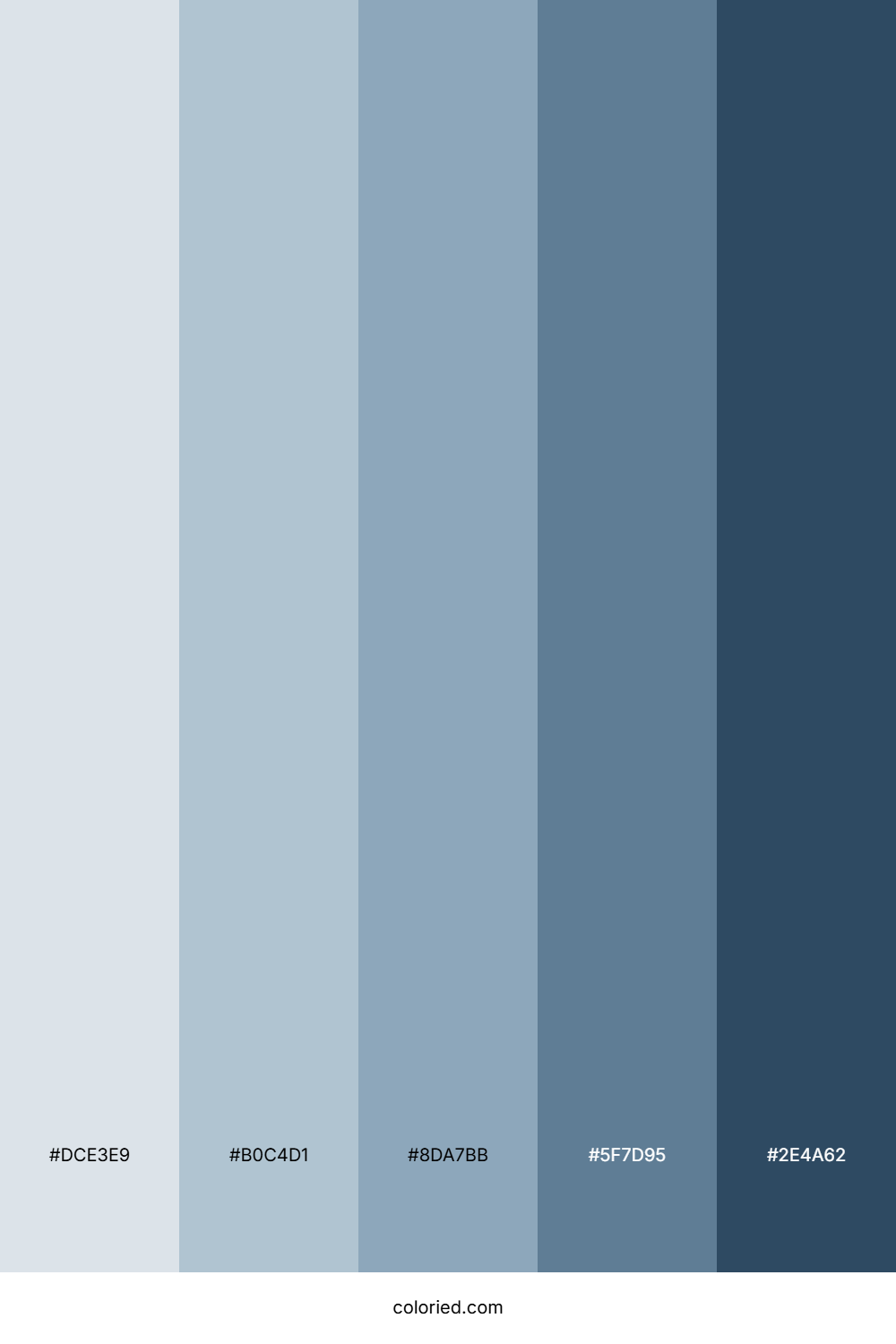 Winter Snow Color Palette