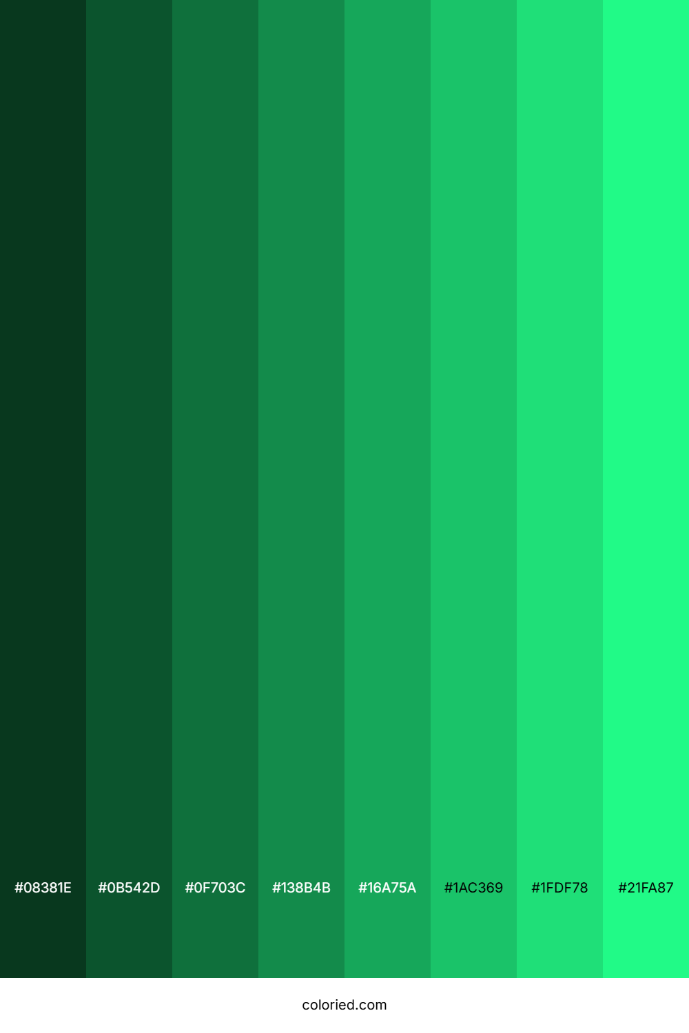 Wintergreen Color Shades