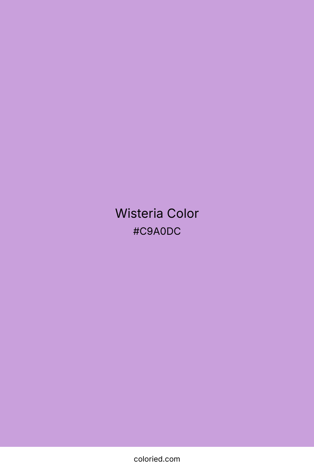 Wisteria Color