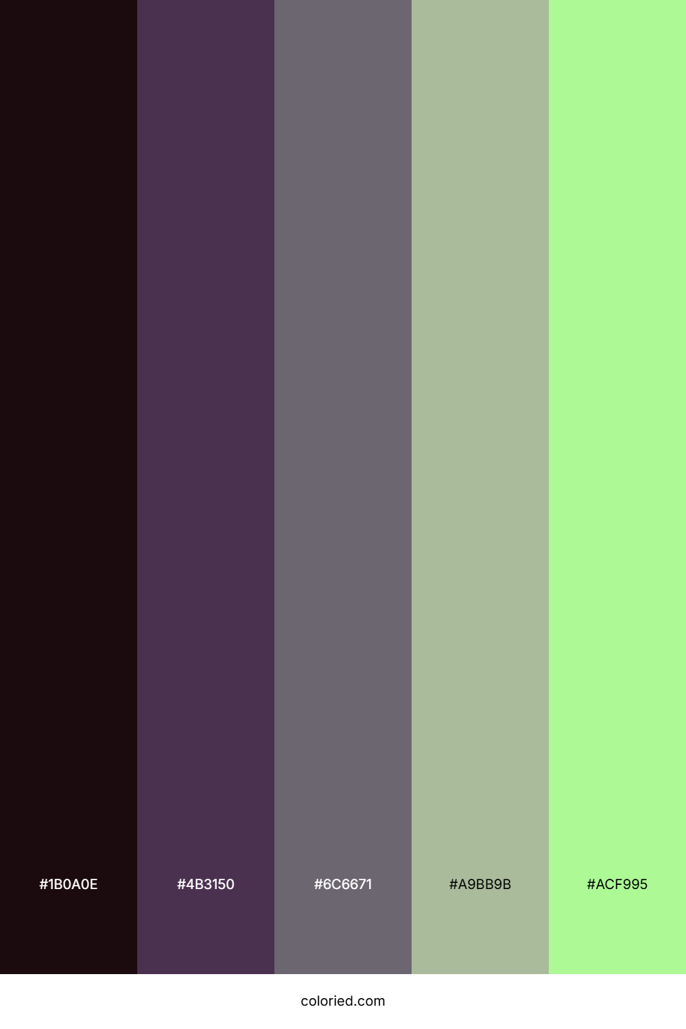 Witch Blood Moon Palette