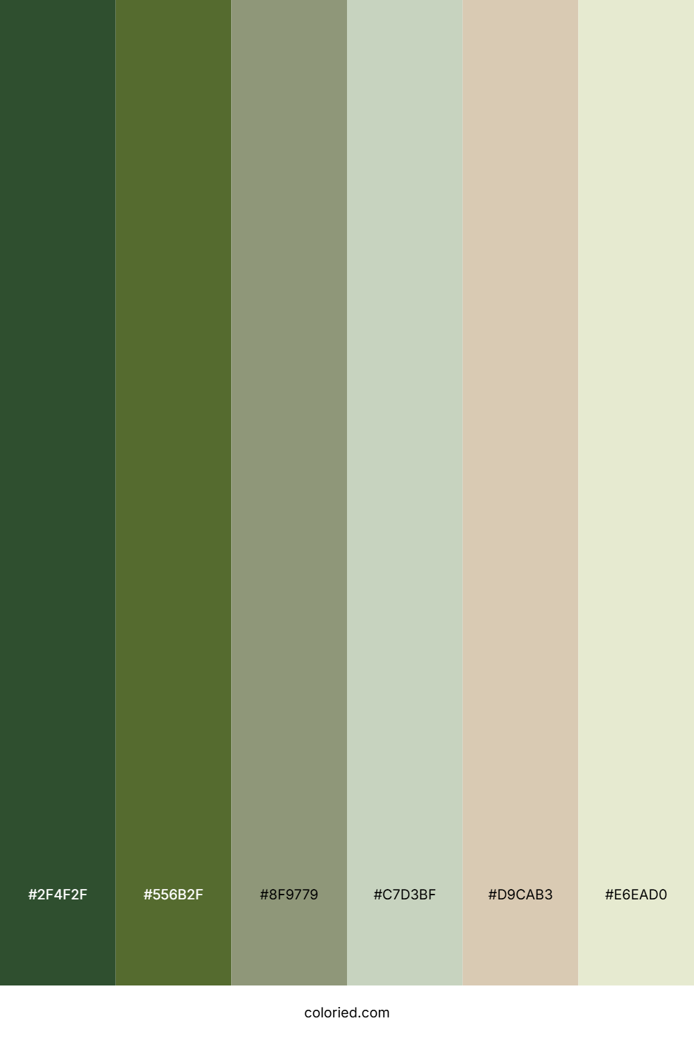 Woodland Moss Whisper Color Palette