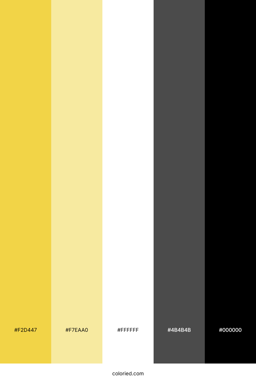 Yellow, Black, White Color Palette