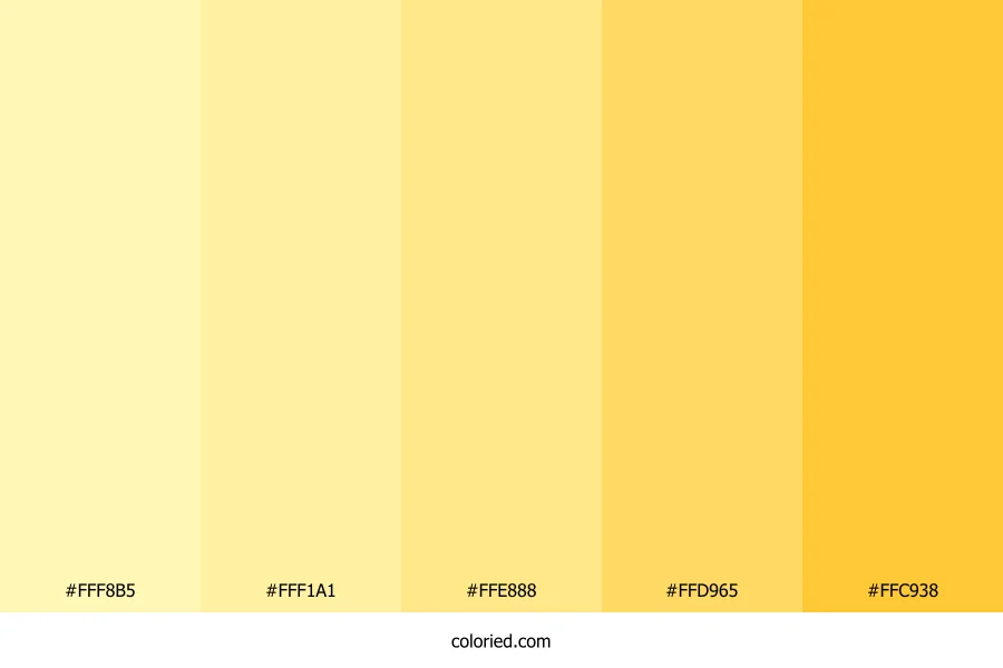 Yellow and Cream Color Palette