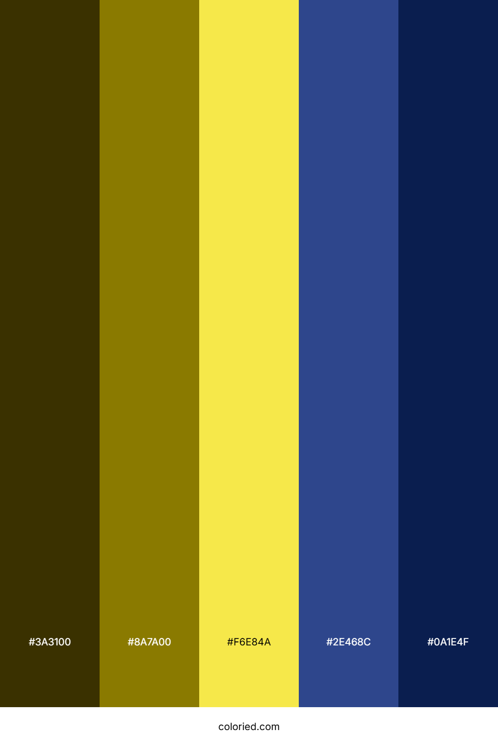 Yellow and Dark Blue Color Palette