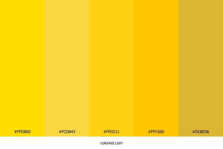 Yellow and Gold Color Palette