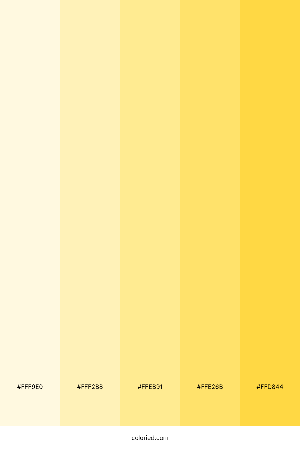 Yellow Cream Color Palette