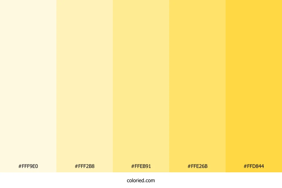Yellow Cream Color Palette