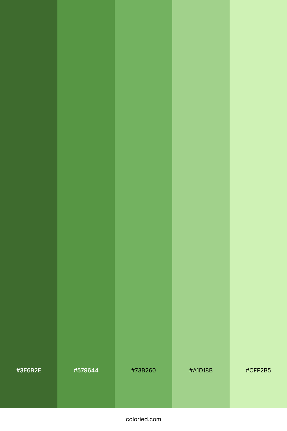 Yellow Green Shades Color Palette